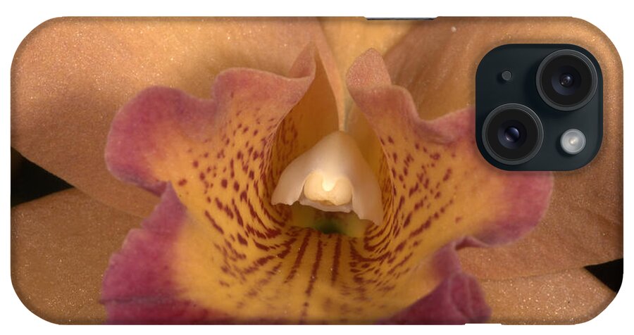 Orchid iPhone Case featuring the photograph Orchid 477 by Wesley Elsberry