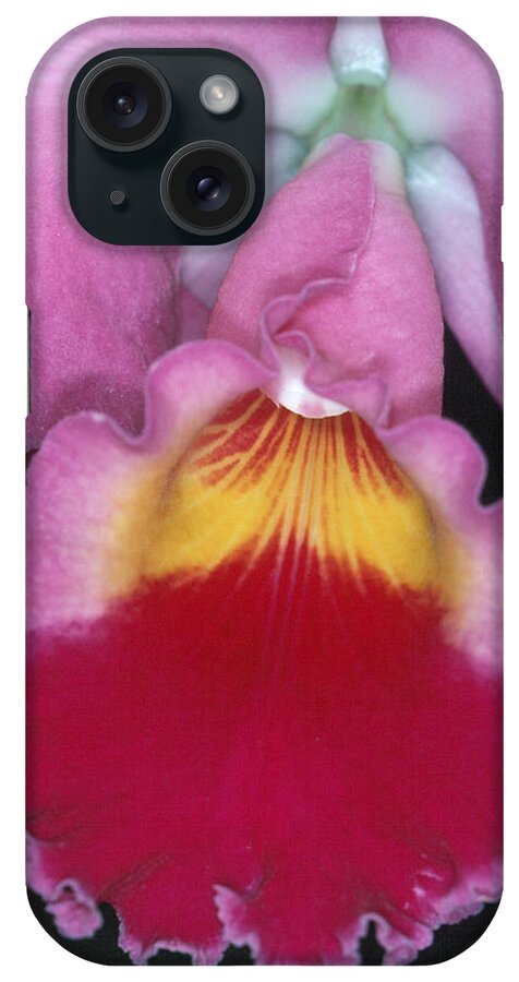 Flower iPhone Case featuring the photograph Orchid 8 by Andy Shomock