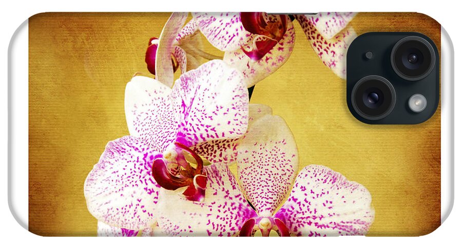 Andee Design Orchids iPhone Case featuring the photograph Orchid Cascade Square by Andee Design