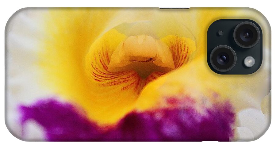 Orchids iPhone Case featuring the photograph Orchid Central by Cindy Manero