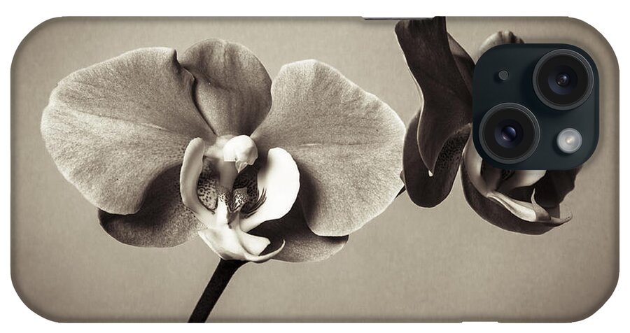 Orchid iPhone Case featuring the photograph Orchid Duality by Hitendra SINKAR