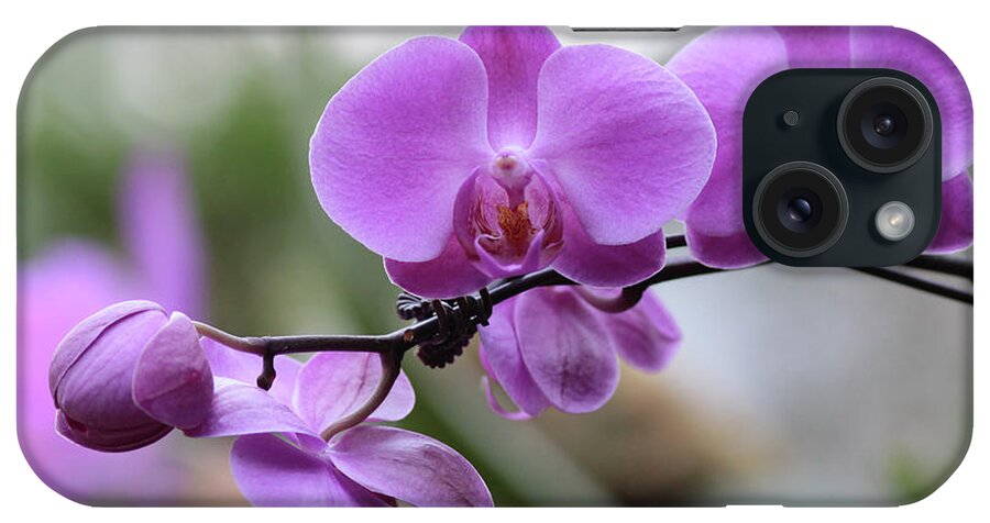 Orchid iPhone Case featuring the photograph Orchid in Bloom by Harold Rau