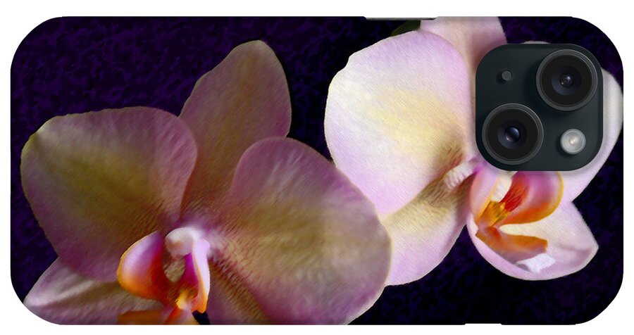 Orchid iPhone Case featuring the photograph Orchid Light by Steve Karol