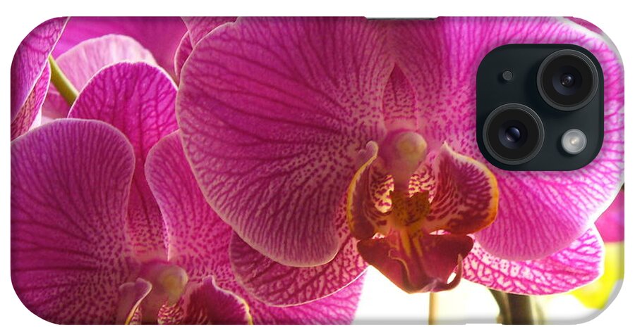 Flower Macro iPhone Case featuring the photograph Orchid by Lingfai Leung
