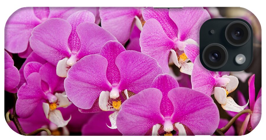 Phalaenopsis iPhone Case featuring the photograph Orchid - Phalaenopsis - Tickled pink by Mike Savad