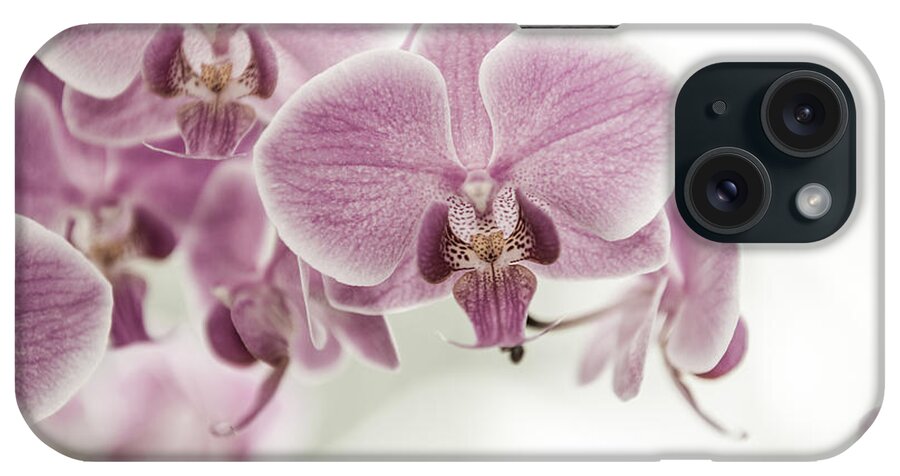 Asia iPhone Case featuring the photograph Orchid Pink Vintage by Hannes Cmarits