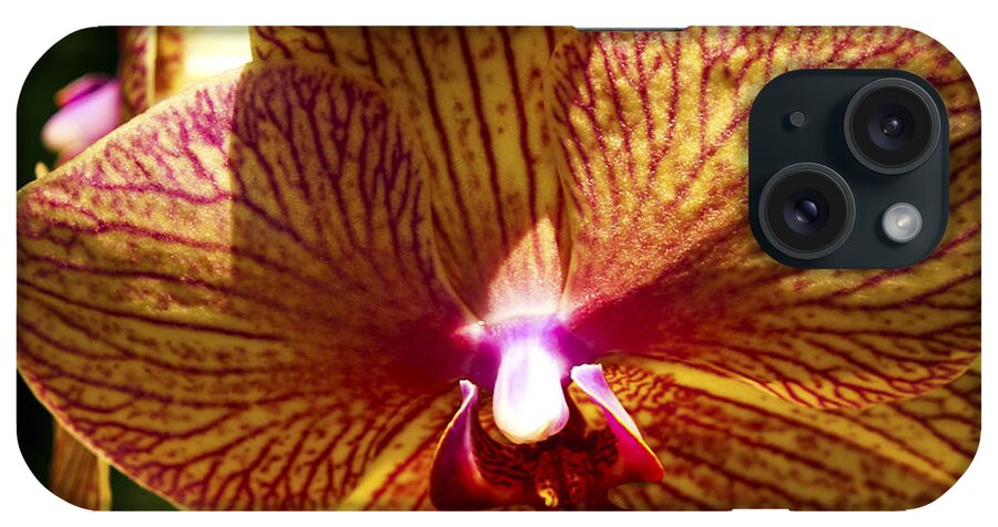 Fine Art Photography iPhone Case featuring the photograph Orchid Study VII by Patricia Griffin Brett