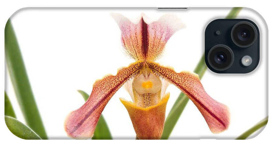 Orchid iPhone Case featuring the photograph Orchid - Will the slipper fit by Mike Savad