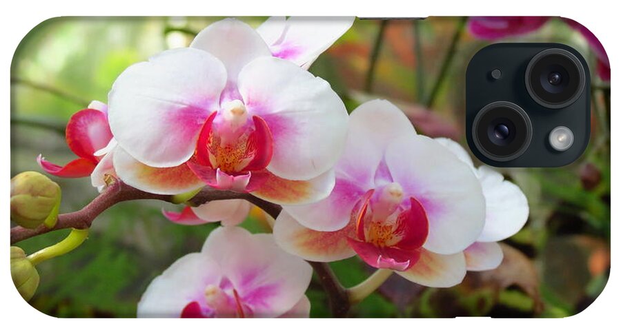 Flowers iPhone Case featuring the photograph Orchids by Anita Adams