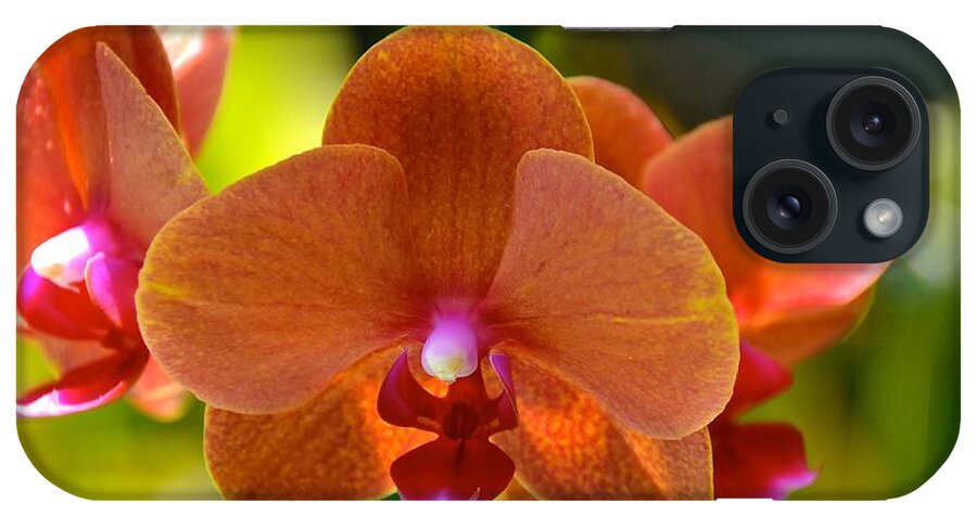 Orchids iPhone Case featuring the photograph Orchids by Lehua Pekelo-Stearns