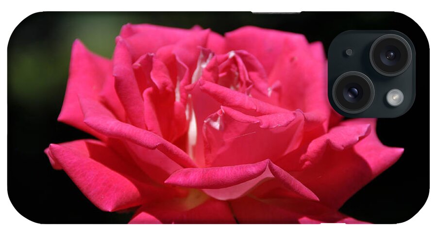 Rose iPhone Case featuring the photograph Oregon Rose by Mindy Bench