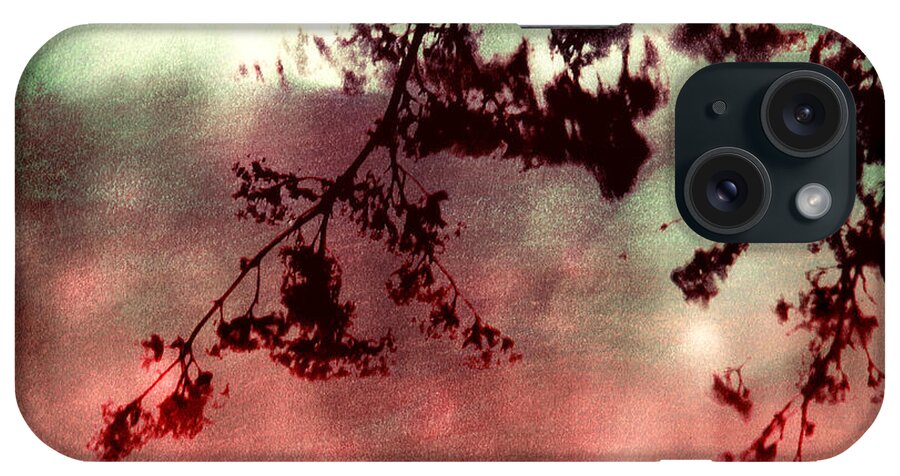 Tree Branch iPhone Case featuring the photograph Organic Impressions by Shawna Rowe