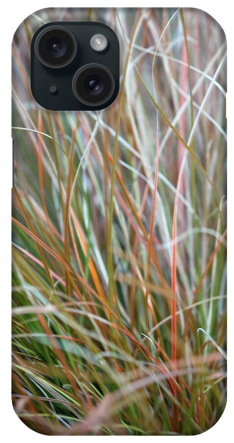 Abstract Art iPhone Case featuring the photograph Ornamental Grass Abstract by E Faithe Lester