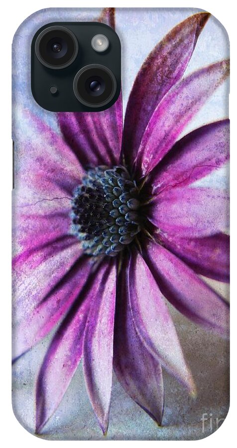Cape Daisy iPhone Case featuring the photograph Osteospermum Delight by Clare Bevan