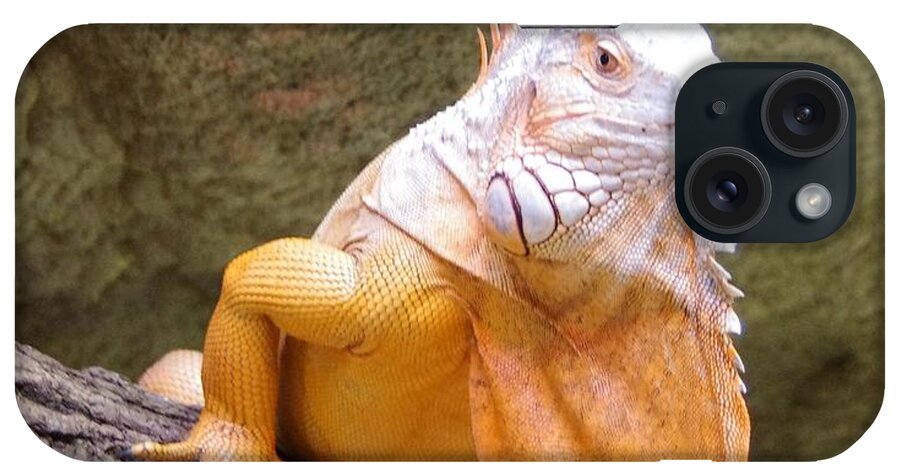 Iguana iPhone Case featuring the photograph Out of Africa Orange Lizard 1 by Phyllis Spoor