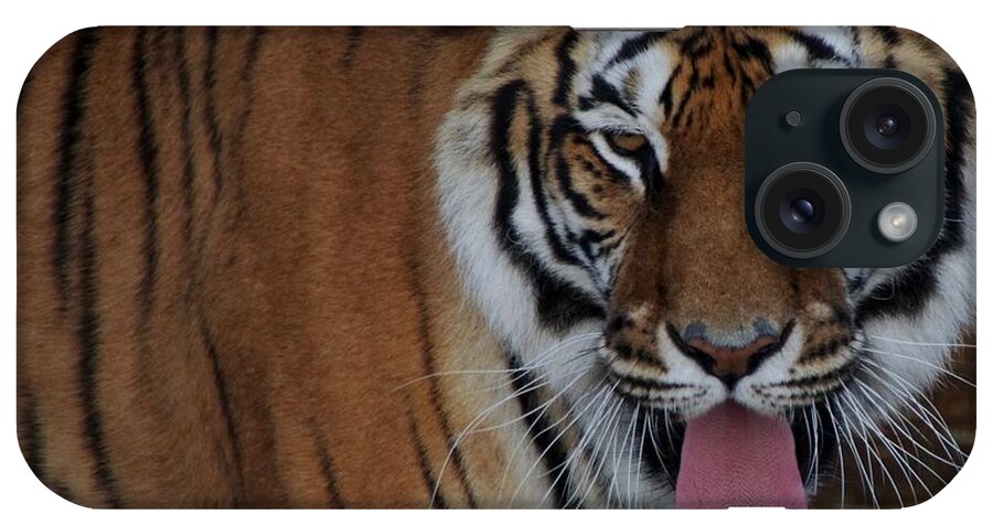 Out Of Africa iPhone Case featuring the photograph Out of Africa Tiger 2 by Phyllis Spoor