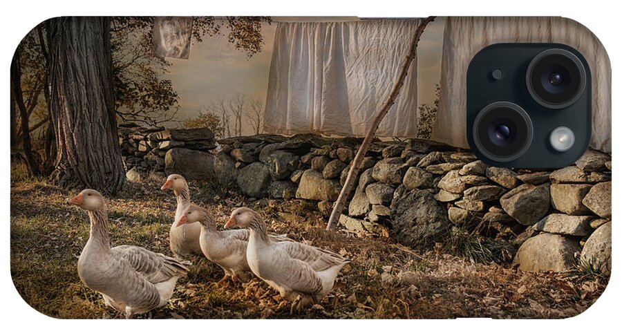 Geese iPhone Case featuring the photograph Out To Dry by Robin-Lee Vieira