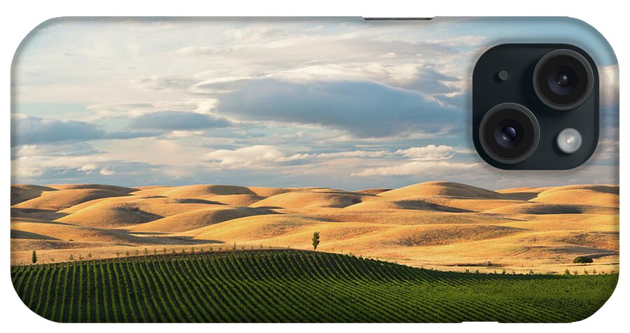 Tranquility iPhone Case featuring the photograph Overlook by Ropelato Photography; Earthscapes