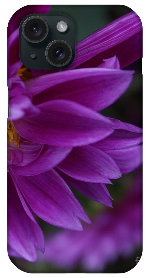 Dahlia iPhone Case featuring the photograph Overshadowed by Geri Glavis