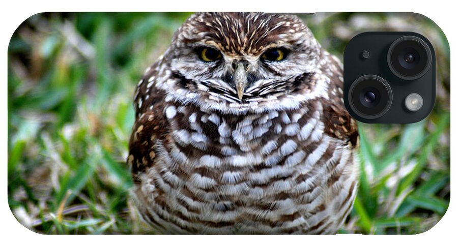 Best And Popular Photo Of Bird iPhone Case featuring the photograph Owl. Best Photo by Oksana Semenchenko