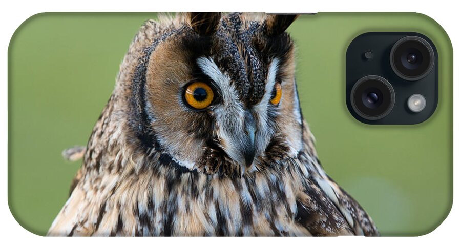 Animals iPhone Case featuring the photograph Owl Portrait by Dennis Dame