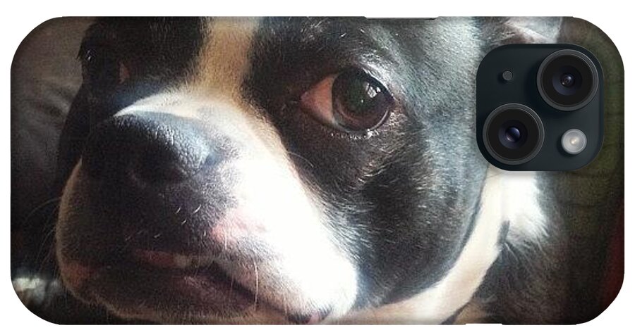 Dogpics iPhone Case featuring the photograph Ozzy And His Underbite #bostonterrier by Robin Mead