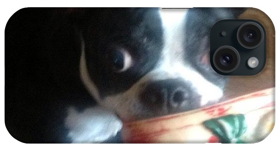 Mydog iPhone Case featuring the photograph Ozzy And Toy #bostonterrier #mydog by Robin Mead