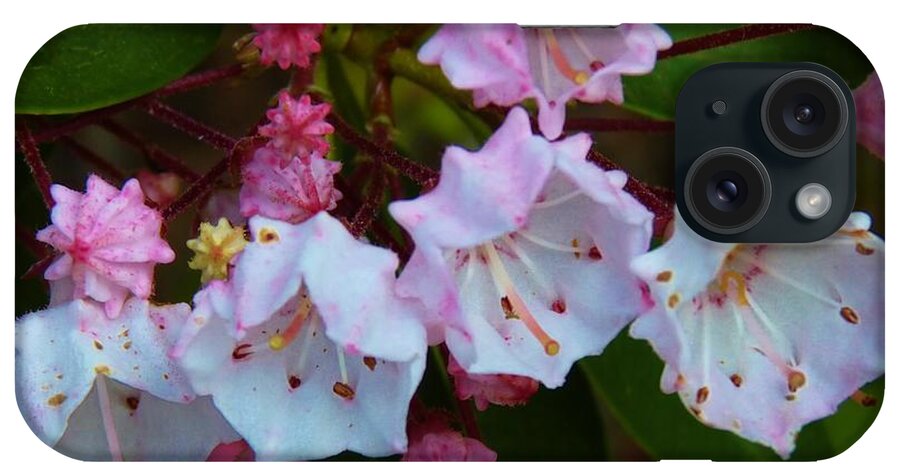 Flowers iPhone Case featuring the photograph PA State Flower by Jeanette Oberholtzer