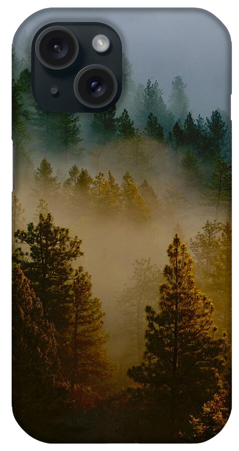 Morning iPhone Case featuring the photograph Pacific Northwest Morning Mist by Ben Upham III