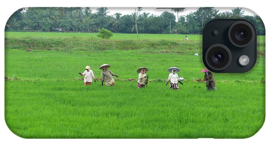 Paddy Field Workers iPhone Case featuring the photograph Paddy field workers by Mini Arora