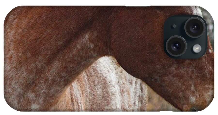 Horses iPhone Case featuring the photograph Paint by Veronica Batterson