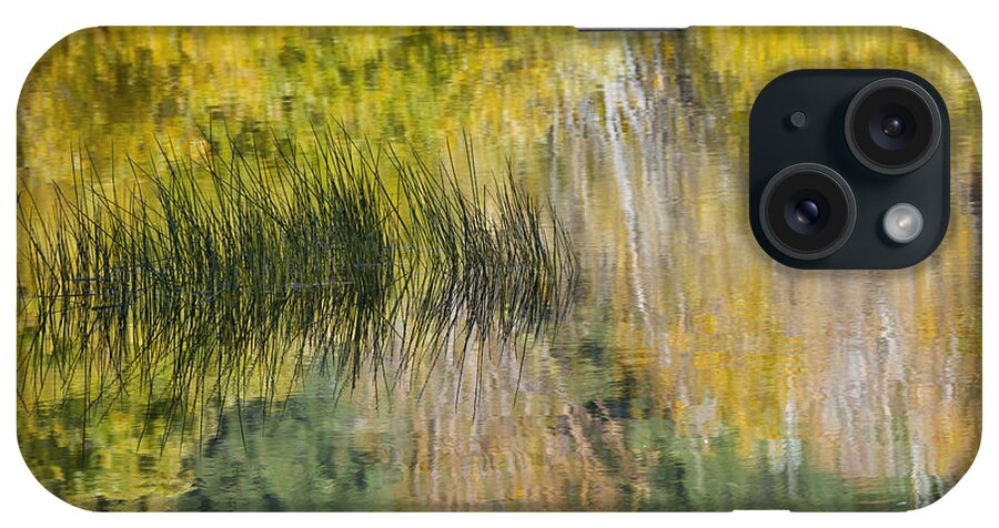 Water iPhone Case featuring the photograph Painted by Nature by Dianne Phelps