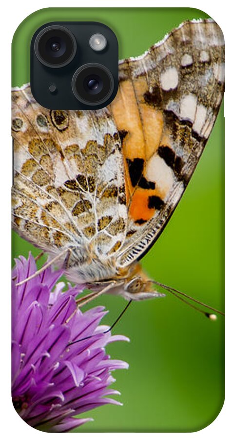 Painted Lady Ii iPhone Case featuring the photograph Painted Lady II by Torbjorn Swenelius