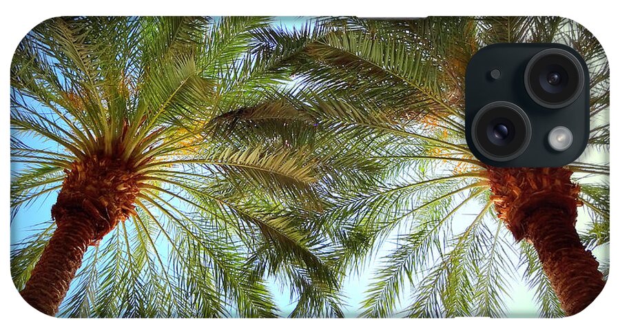 Palm Trees iPhone Case featuring the photograph Pair of Palms Vegas style by Donna Spadola