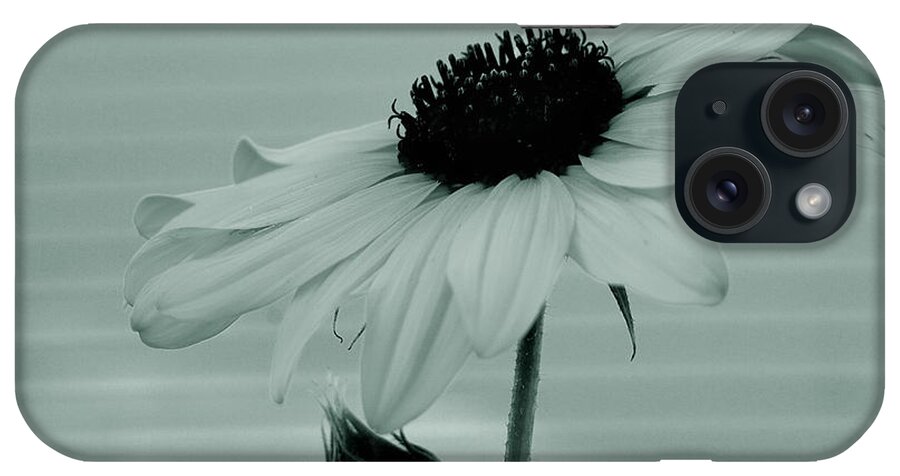 Flowers iPhone Case featuring the photograph Pale Beauty by Steven Milner