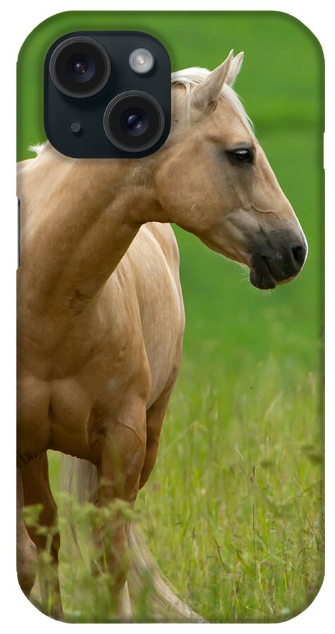 Pale Brown Horse iPhone Case featuring the photograph Pale Brown Horse by Torbjorn Swenelius