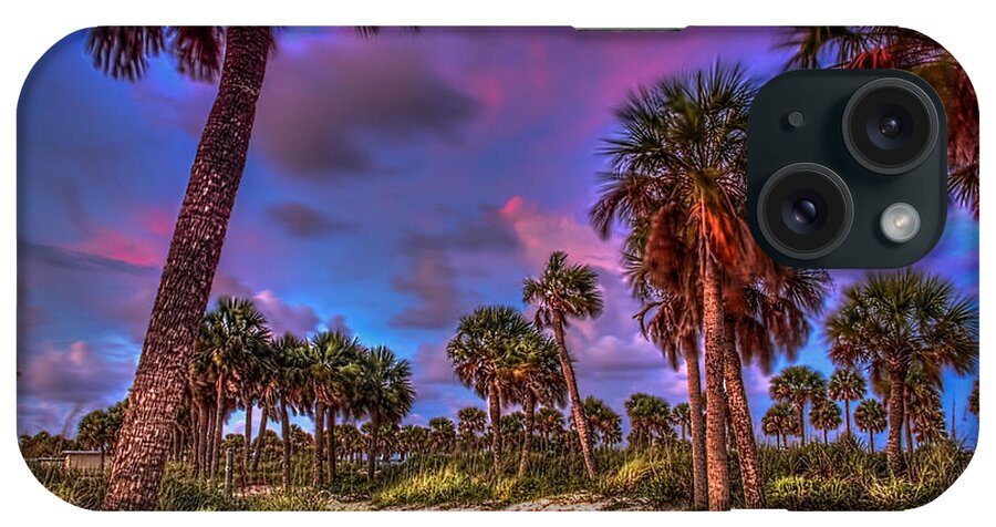 Landscape iPhone Case featuring the photograph Palm Grove by Marvin Spates