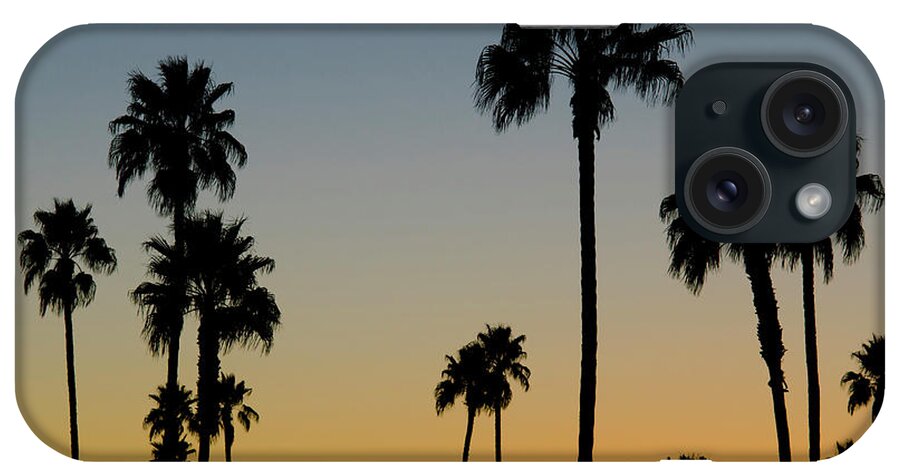 Scenics iPhone Case featuring the photograph Palm Trees At Sunset by Chapin31
