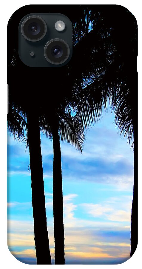 Palm iPhone Case featuring the photograph Palms by Kara Stewart