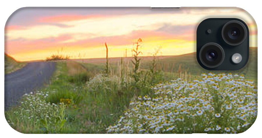 Idaho iPhone Case featuring the photograph Palouse Daisies Pano by Idaho Scenic Images Linda Lantzy