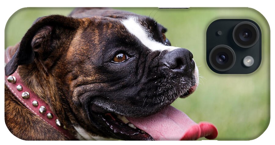 Boxer iPhone Case featuring the photograph Panting Puppy by Sennie Pierson