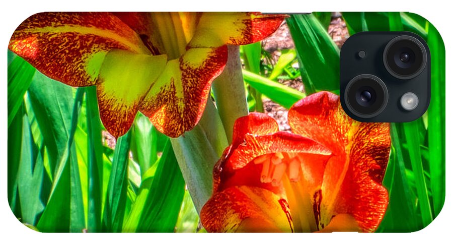 Flower iPhone Case featuring the photograph Parrot Gladiolus by Traveler's Pics
