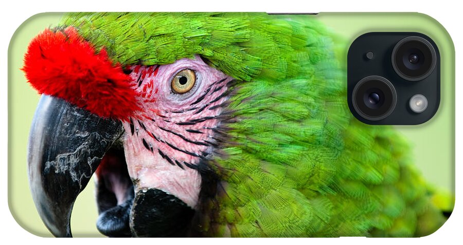 Parrot iPhone Case featuring the photograph Parrot by Sebastian Musial