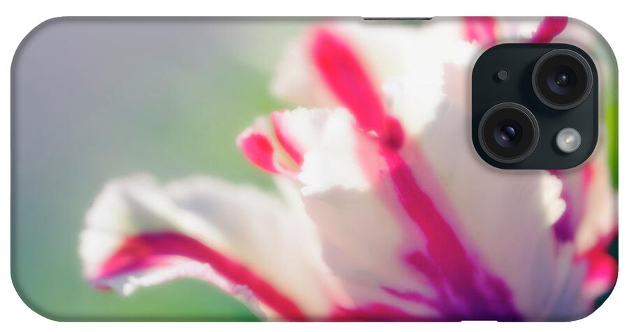 Parrot Tulip iPhone Case featuring the photograph Parrot Tulip (tulipa Sp.) by Maria Mosolova/science Photo Library