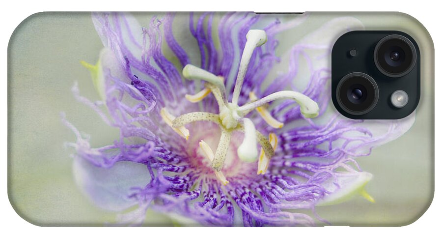 Passion Flower iPhone Case featuring the photograph Passion Flower by Judy Hall-Folde