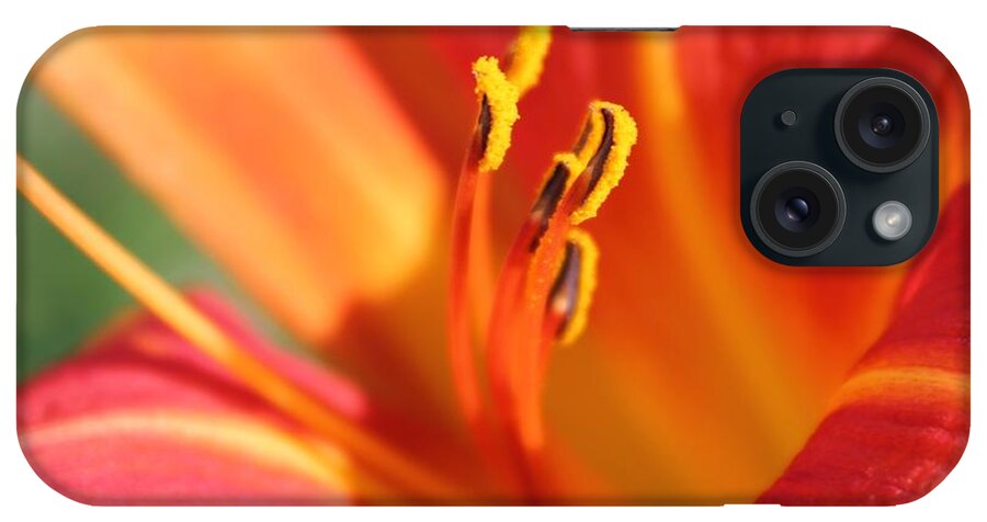 Tiger iPhone Case featuring the photograph Passion Held by Lesa Weller