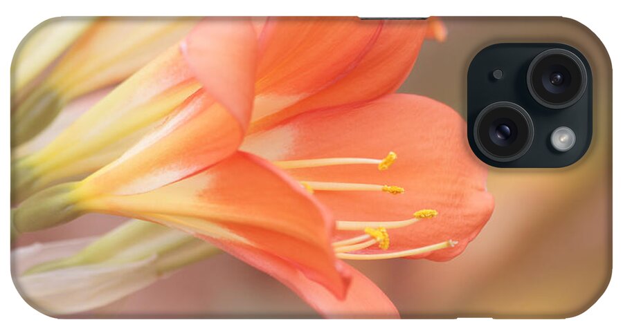 Orange Flower iPhone Case featuring the photograph Pastels by Kim Hojnacki