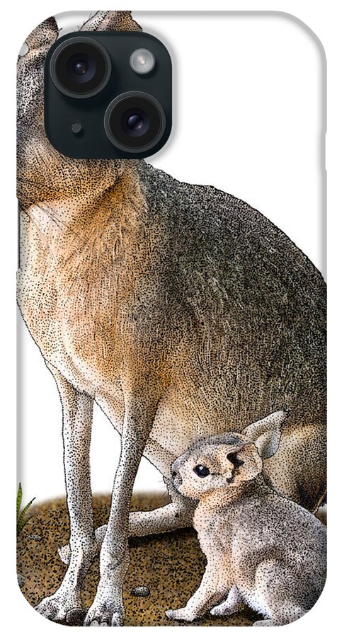 Patagonian Mara iPhone Case featuring the photograph Patagonian Mara, D. Patagonum by Roger Hall