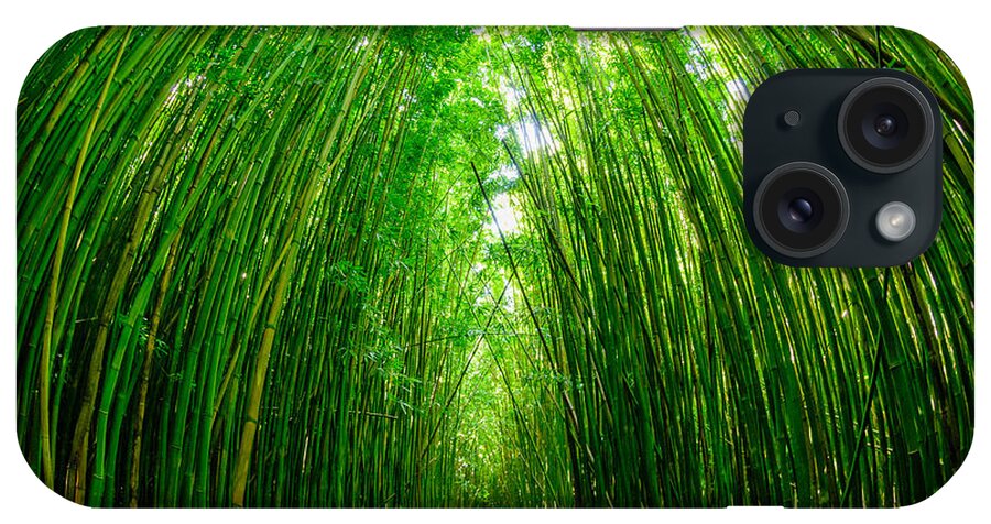 Hawaii iPhone Case featuring the photograph Path through a bamboo forrest on Maui Hawaii USA by Don Landwehrle