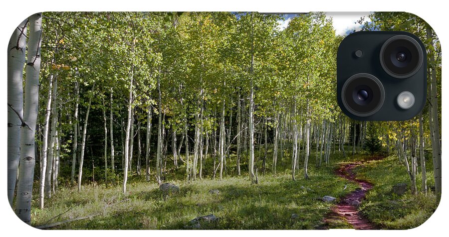 Path iPhone Case featuring the photograph Path Through the Aspens in Colorado by Karen Stephenson